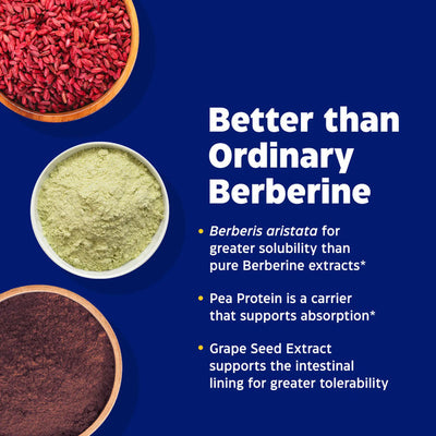 Enzymedica Berberine Phytosome ingredient callout with bowls of berberis aristata, pea protein, and grape seed extract powders
