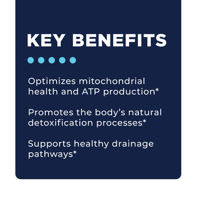 CellCore Biosciences Phase 1: Energy and Drainage key benefits text on a dark blue graphic background