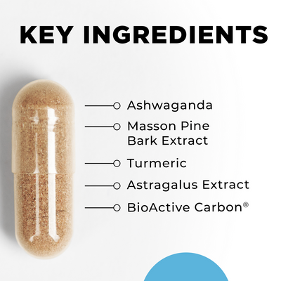 CellCore Biosciences S-TRO capsule close-up with key ingredients list including ashwagandha, turmeric, and BioActive Carbon