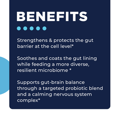 CellCore Biosciences CoreMend GI benefits graphic highlighting gut barrier, gut lining, microbiome, and gut-brain support
