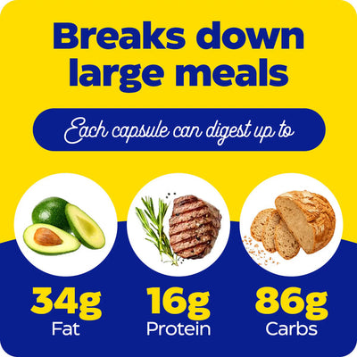 Enzymedica Digest Gold graphic showing fats, protein, and carbs that each capsule can help digest in large meals