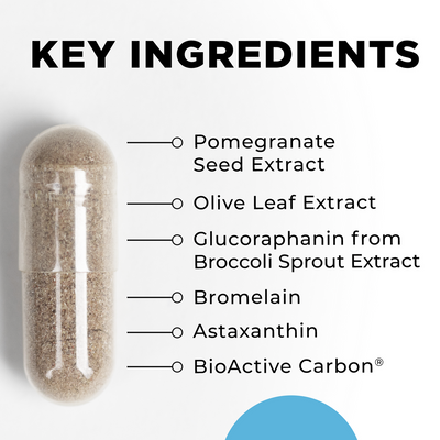 CellCore Biosciences IFC key ingredients callout showing capsule with pomegranate seed, olive leaf, broccoli sprout, bromelain, astaxanthin, BioActive Carbon