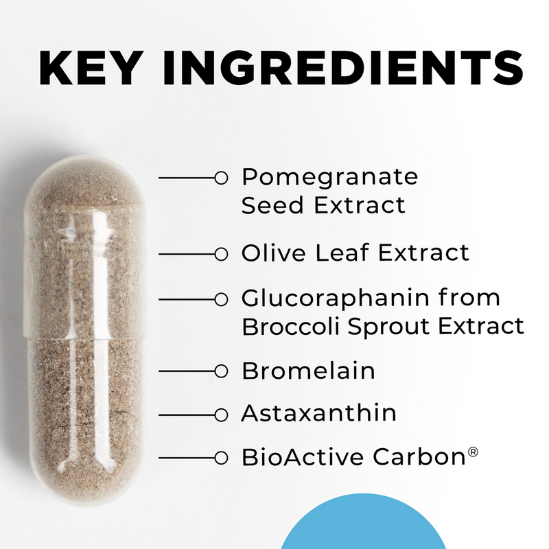 CellCore Biosciences IFC key ingredients callout showing capsule with pomegranate seed, olive leaf, broccoli sprout, bromelain, astaxanthin, BioActive Carbon