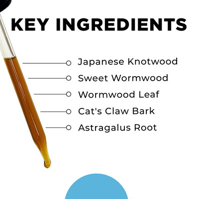 CellCore Biosciences IS-BORR 4 oz key ingredients list with tincture dropper and herbal components shown