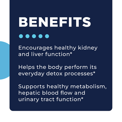 CellCore Biosciences KL Support 120 Capsules benefits text graphic highlighting kidney, liver, detox, metabolism and urinary support