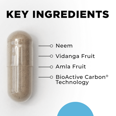 CellCore Para 2 capsule with callouts of key ingredients: neem, vidanga fruit, amla fruit, BioActive Carbon Technology