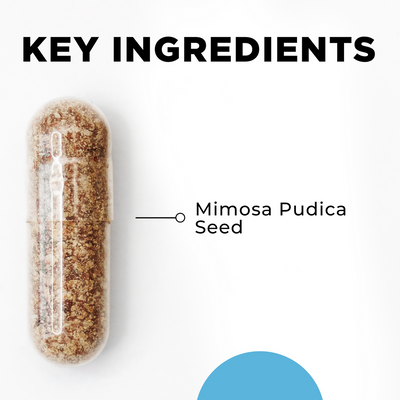 CellCore Biosciences Para 1 capsule highlighting key ingredient Mimosa Pudica seed on a clean white background