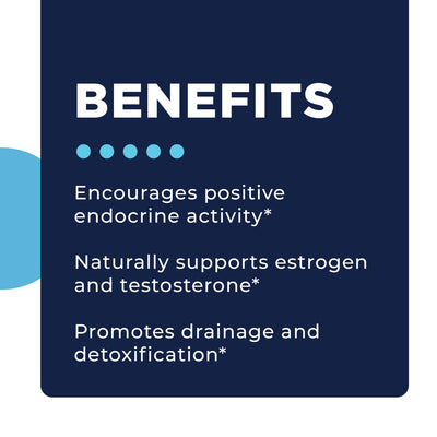 CellCore Biosciences S-TRO benefits graphic listing endocrine, estrogen and testosterone support, and detoxification claims