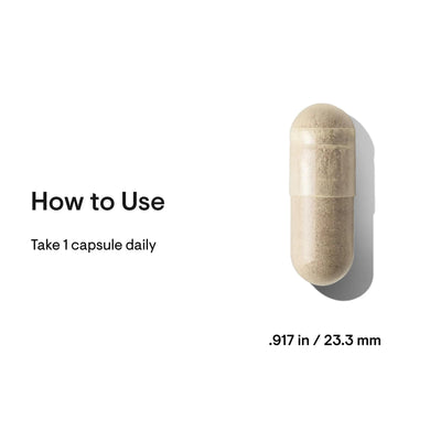 Thorne Women’s Daily Probiotic single beige capsule with dosage text “take 1 capsule daily” and size .917 in / 23.3 mm