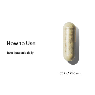 Thorne Ashwagandha capsule close-up with usage text “Take 1 capsule daily” and size .85 in / 21.6 mm on white background